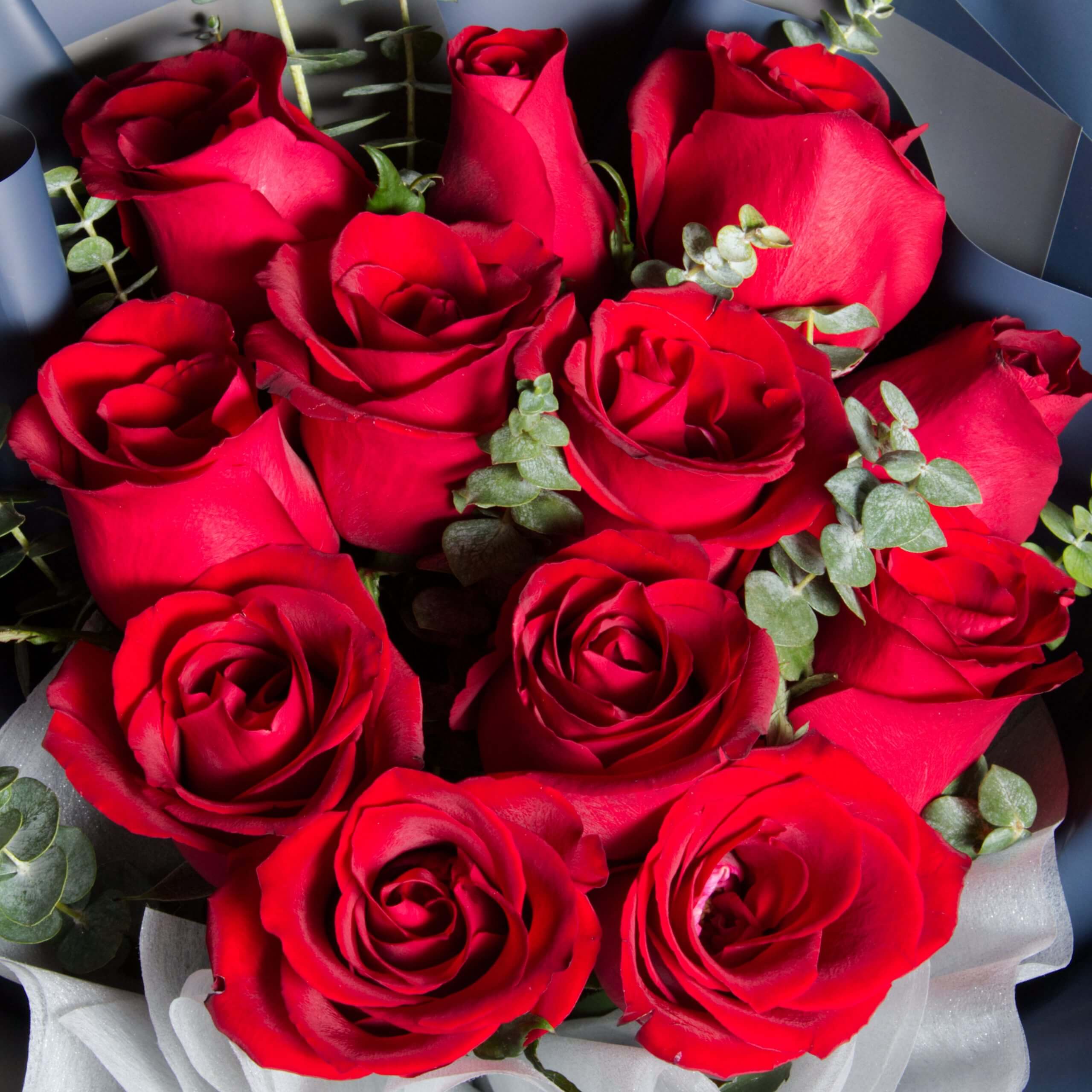 The Timeless Allure of the Rose Bouquets