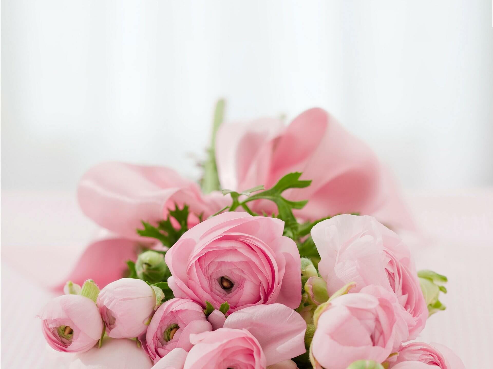 Know how the flora is perfect for all events