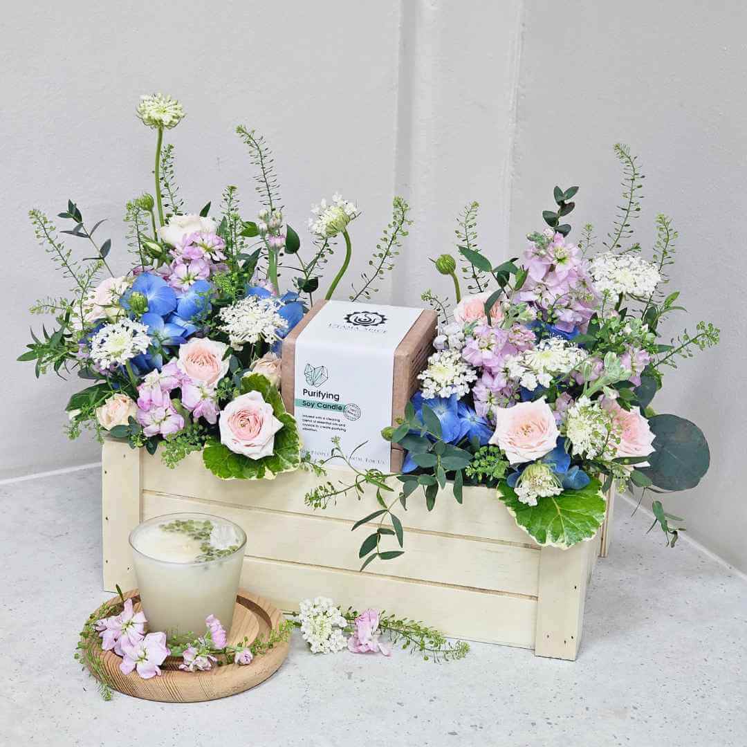 Botanical Bliss – Gift & Hampers Botanical Bliss - Gift & Hampers - Hospital Hamper