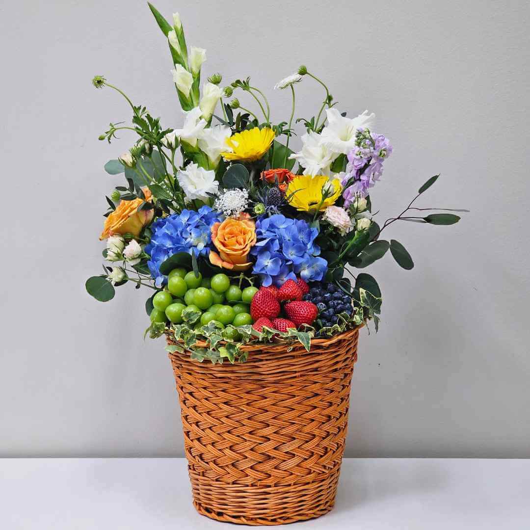 Fruits of Basket Wellness Fruits of Basket - Get Well Soon Hamper - Hospital Hamper