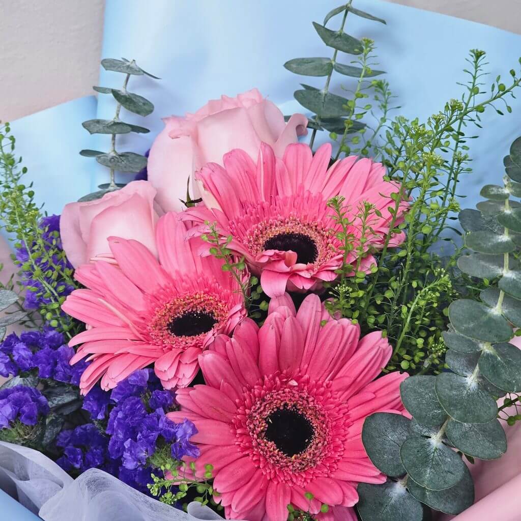Pink Perfection Roses Pink Perfection Roses