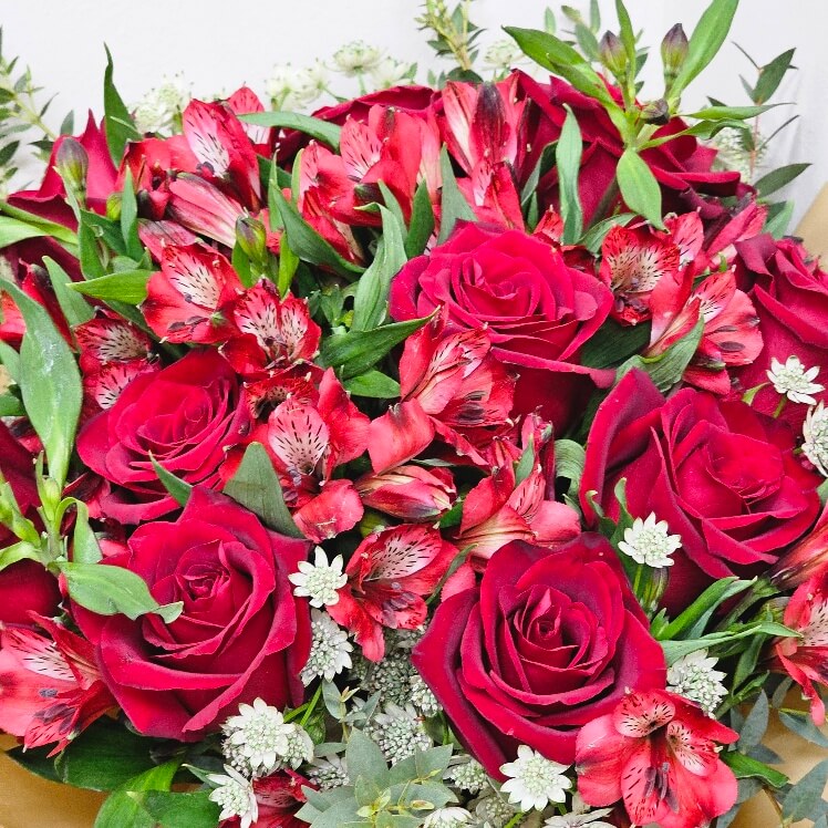 Red Sweetheart Rose Bouquet Red Sweetheart Rose Bouquet